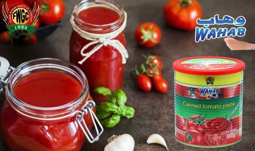 Wahab tomato paste product presentation
